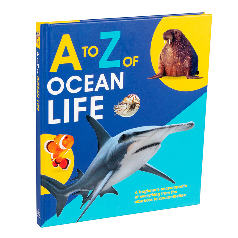 Cover image for Ocean